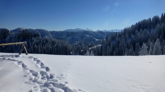 Snow sun cold