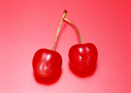 Sweet ripe cherry photo