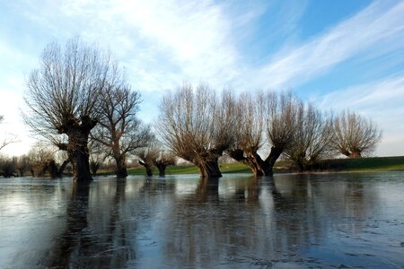 Winter wintry landscape
