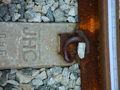 Concrete forest rail