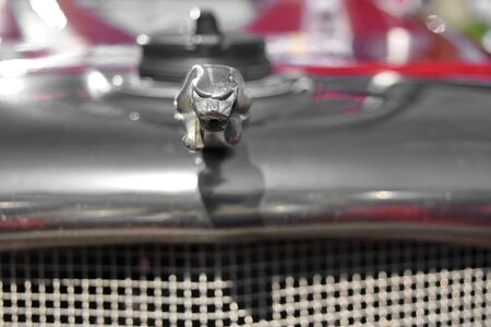 Metallic symbol grille