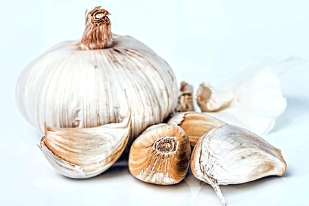 Diet dietary food