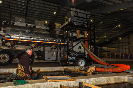 Service personnel prepare fish pump to load fish onto hatchery-1