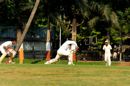 Cricket Sport photo