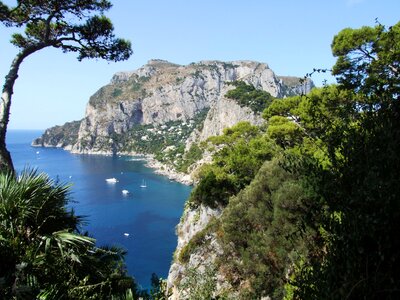 Trees ocean amalfi coast photo