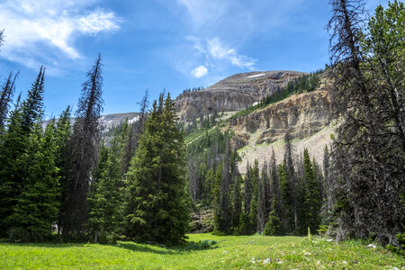 Scenic view in the Gravelly Range of Beaverhead-Deerlodge National Forest photo