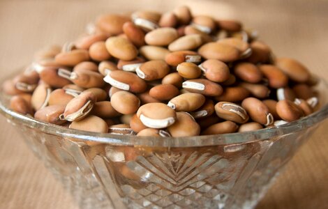 Bean beans bowl photo