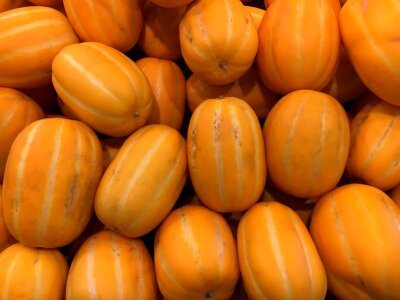 Melon vegetable autumn