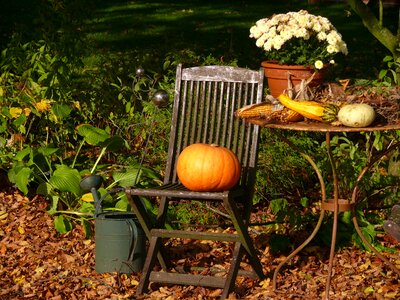 Color deco autumn