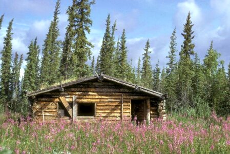 Cabin Canon city