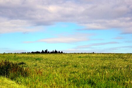 Agriculture cloud cloudy photo