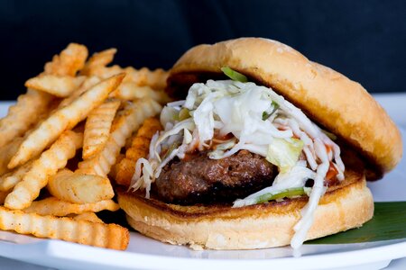 Burger & Fries