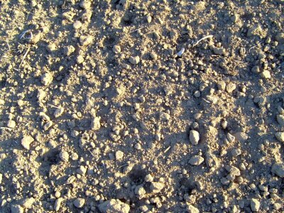 Earth structure 