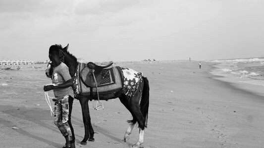Horse driver beach photo