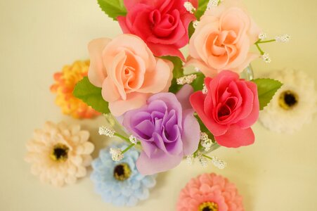 Pink light blue white