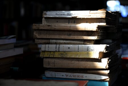 Library perspective read