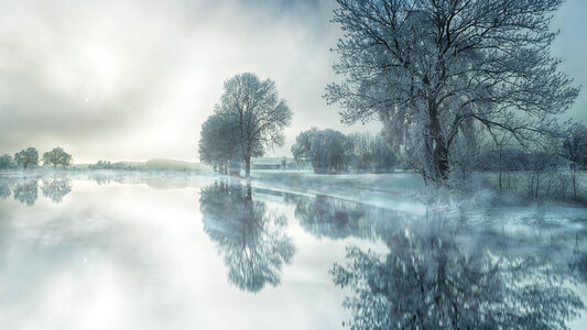 Frosted Trees on the Pond photo