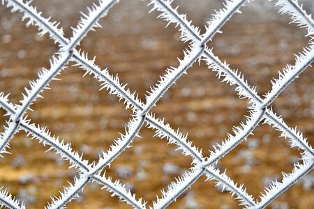 Cold fence frozen photo