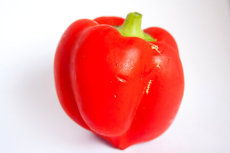 Red Capsicum Bell Pepper photo