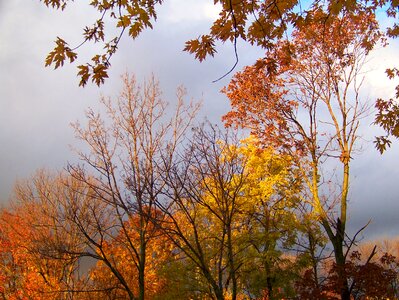 Leaves storm clouds
