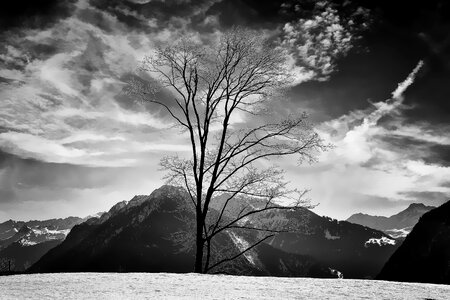 Mountains mountain peaks tree photo