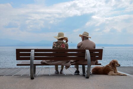 Bench cloud dog photo