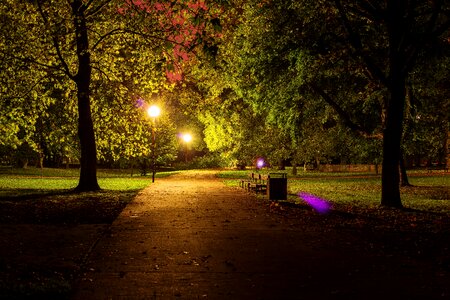 Dark outdoors tree