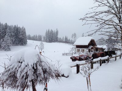 Dachstein winter snowfall photo
