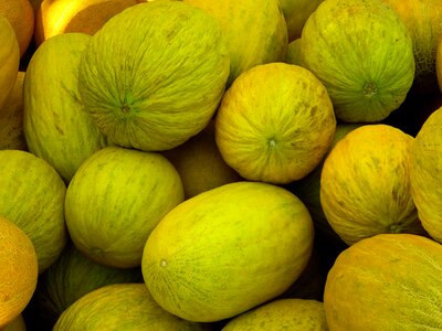 Honeydew melons eating fruit yellow