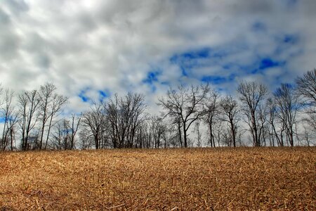 Agriculture atmosphere autumn
