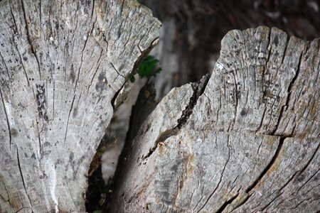 Cracked cracks dry