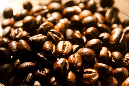 Coffee Beans photo