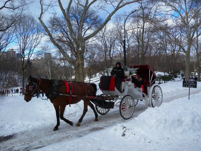 Buggy winter snow