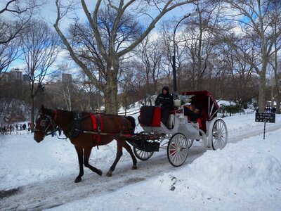 Buggy winter snow photo