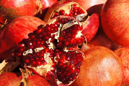 Pomegranate fruit red