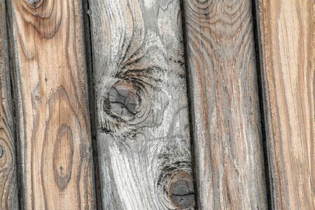Hardwood oak old