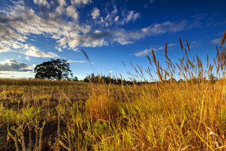 Scenic of Tualatin  River National Wildlife Refuge