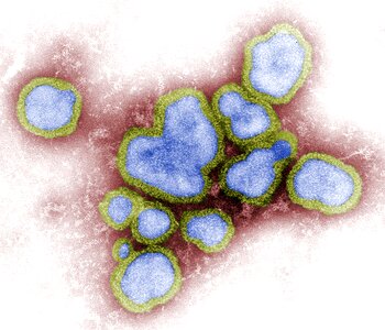 Broadcast electron influenza