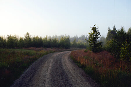 Free photo of early morning road. photo