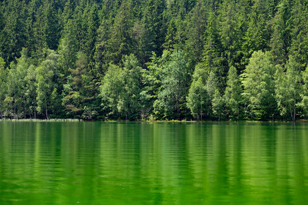 Volcanic Green Lake with Green Forest Behind It