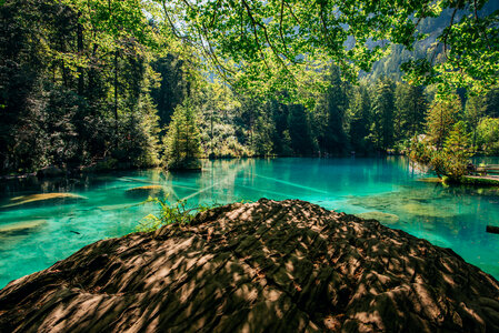 Beautiful Mountain Lake in the Summer