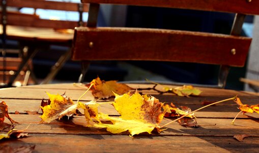 Autumn autumn season chair