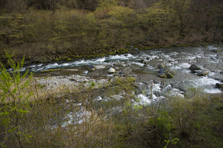 8 Nikko photo