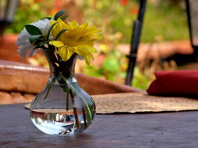 Flowers glass photo