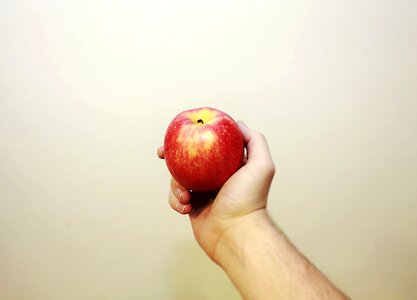 Apple beautiful photo delicious photo