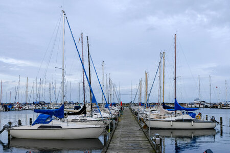 Docked Boats on a Cloudy Day photo