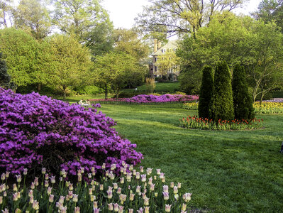 Sherwood Gardens in Baltimore, Maryland