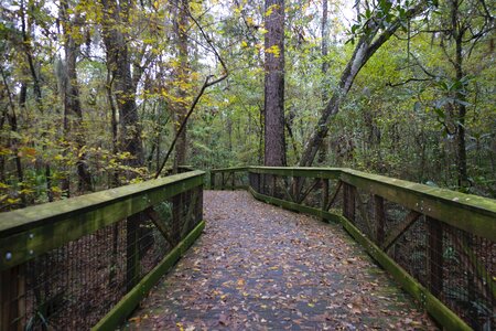 Banister boardwalk bridge photo