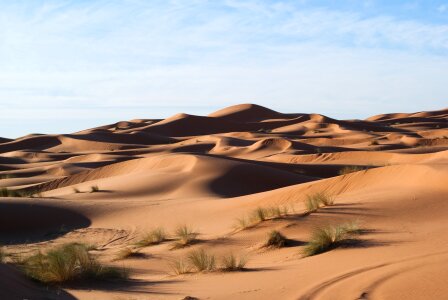 Grand Desert photo