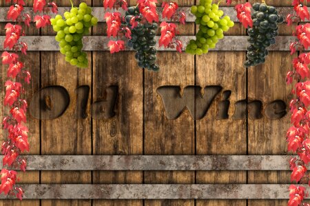 Vines autumn background